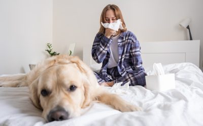 Understanding Pet Allergies: Causes and Solutions