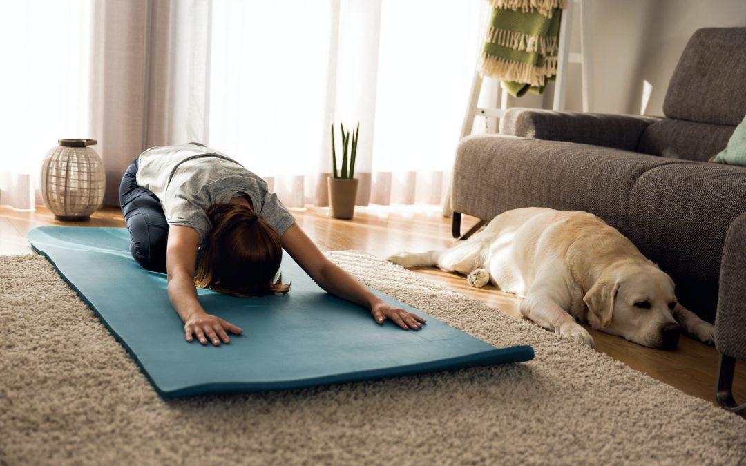 Creative Approaches to Keep Your Pet Active and Healthy