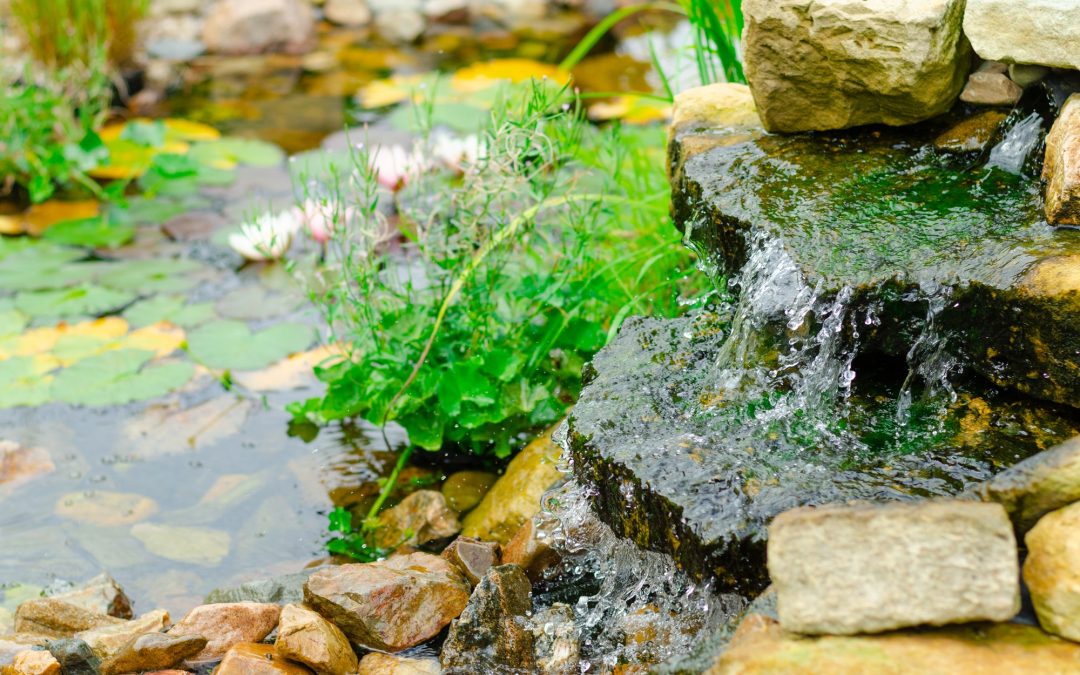 How to Create a Zen Garden for Relaxation and Meditation