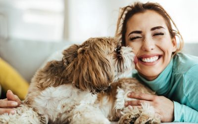 Easing Stress: The Impact of Pets on Human Well-being